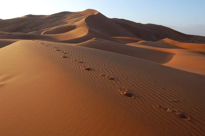 Désert de Merzouga 